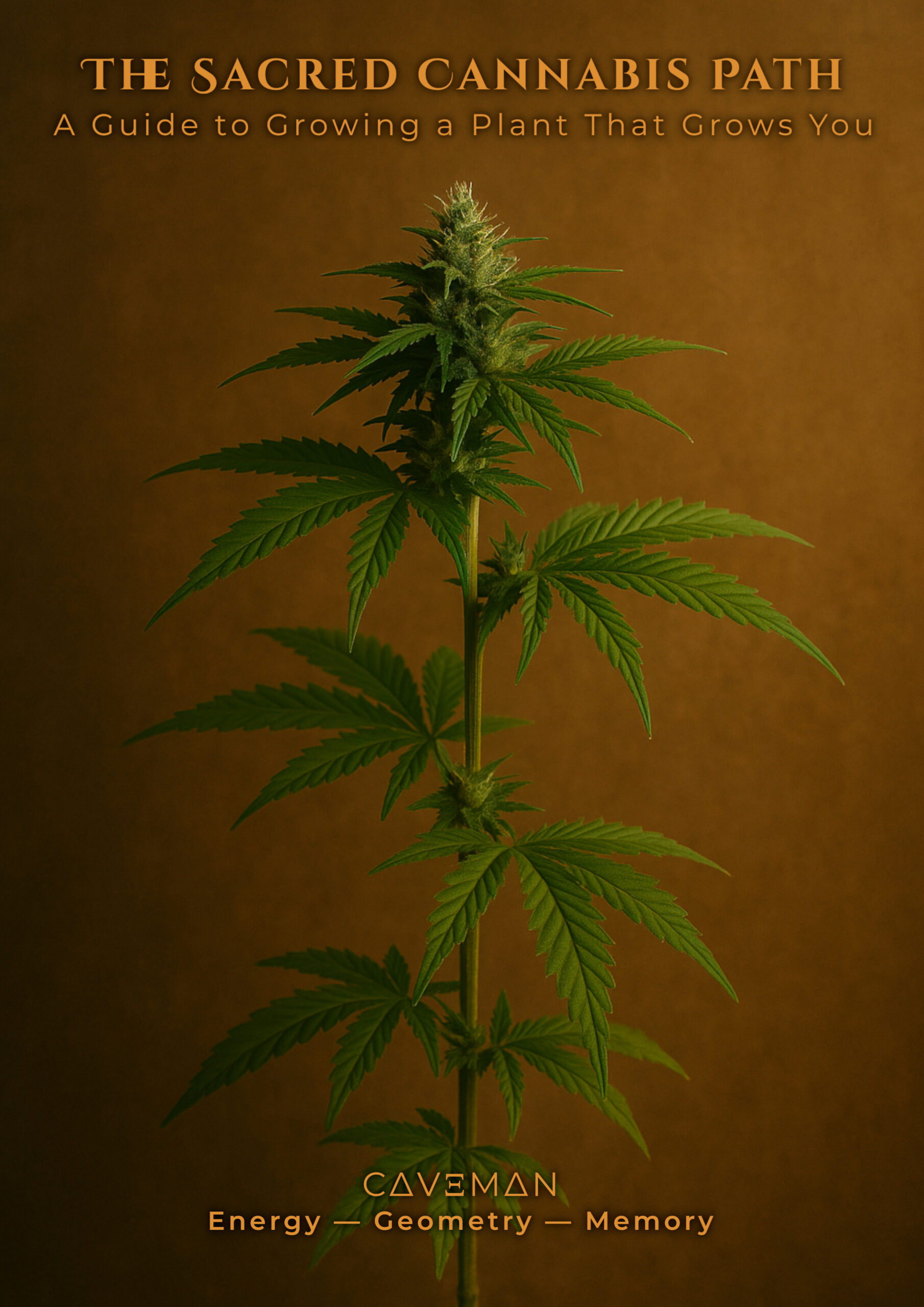 Cover of ‘The Sacred Cannabis Path’ — a minimal golden-brown background with a single cannabis plant photographed vertically in high detail