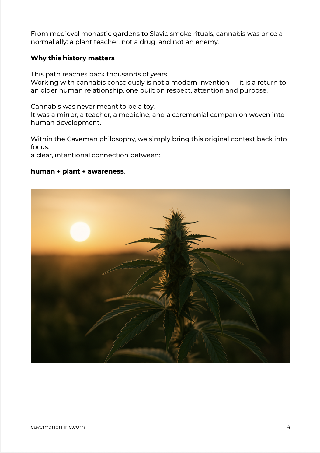 Sample page showing an early chapter of ‘The Sacred Cannabis Path’ with a cannabis plant photographed at sunset.