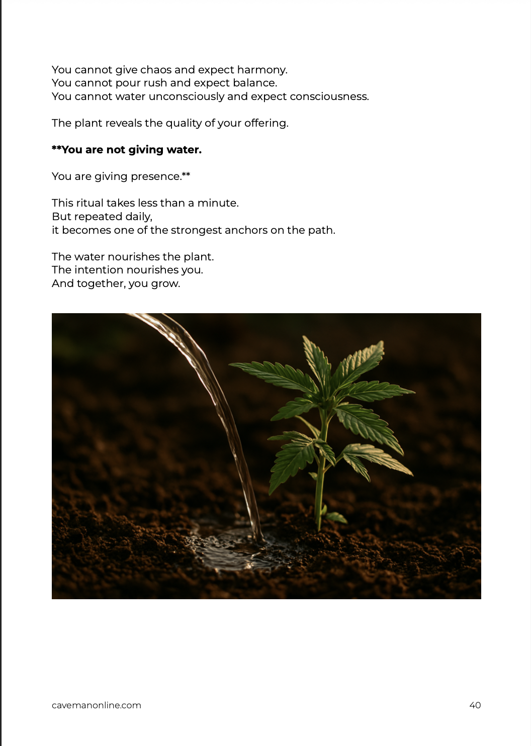 Sample page showing a young cannabis plant being watered during the Water Ritual from ‘The Sacred Cannabis Path’ guide.